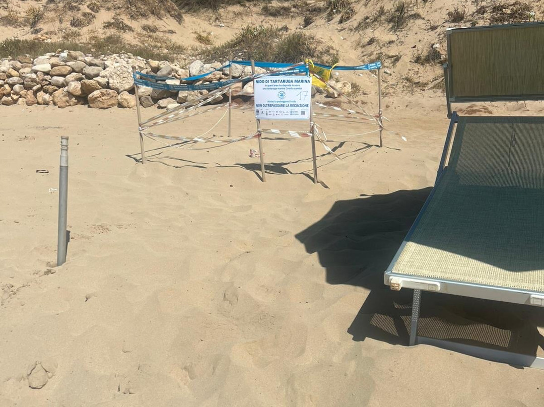 Spiaggia Pescoluse-Pescoluse必去景点