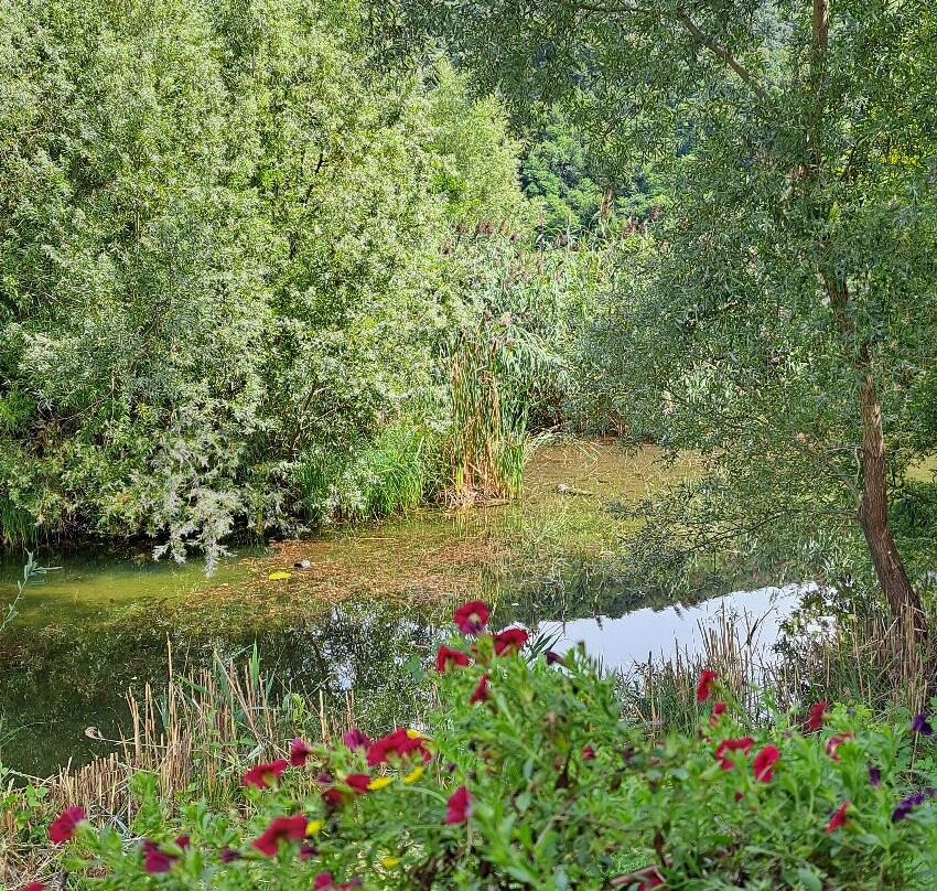 Lido Segrino-Eupilio必去景点