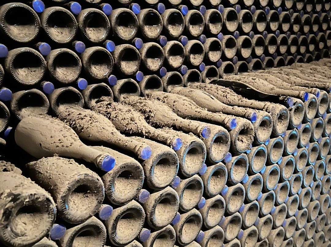 Langlois Crémant de Loire-梭缪尔必去景点