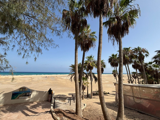 Rene Egli Fuerteventura - Windsurf Kitesurf Wingfoil-Costa Calma必去景点