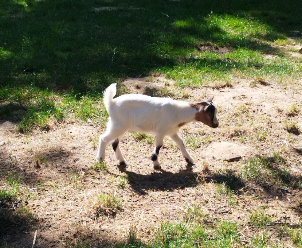 Mouton Village-Vasles必去景点