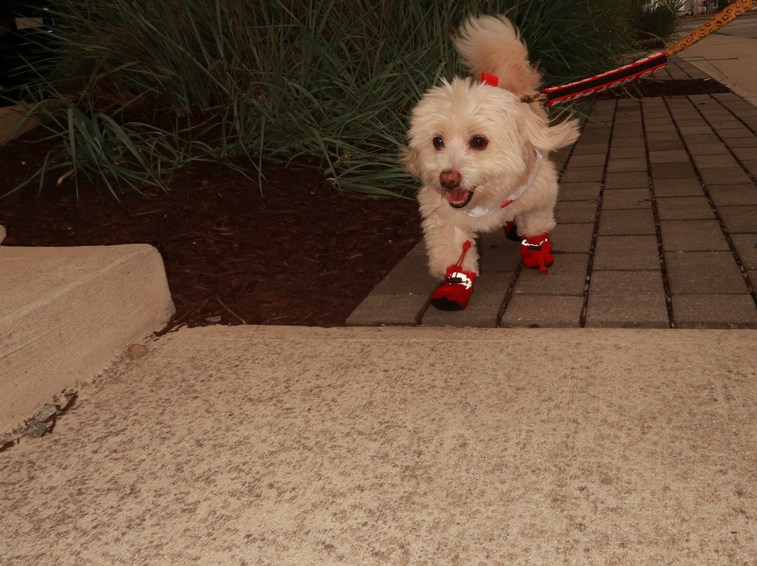 Fairfield Inn & Suites Ocean City主图