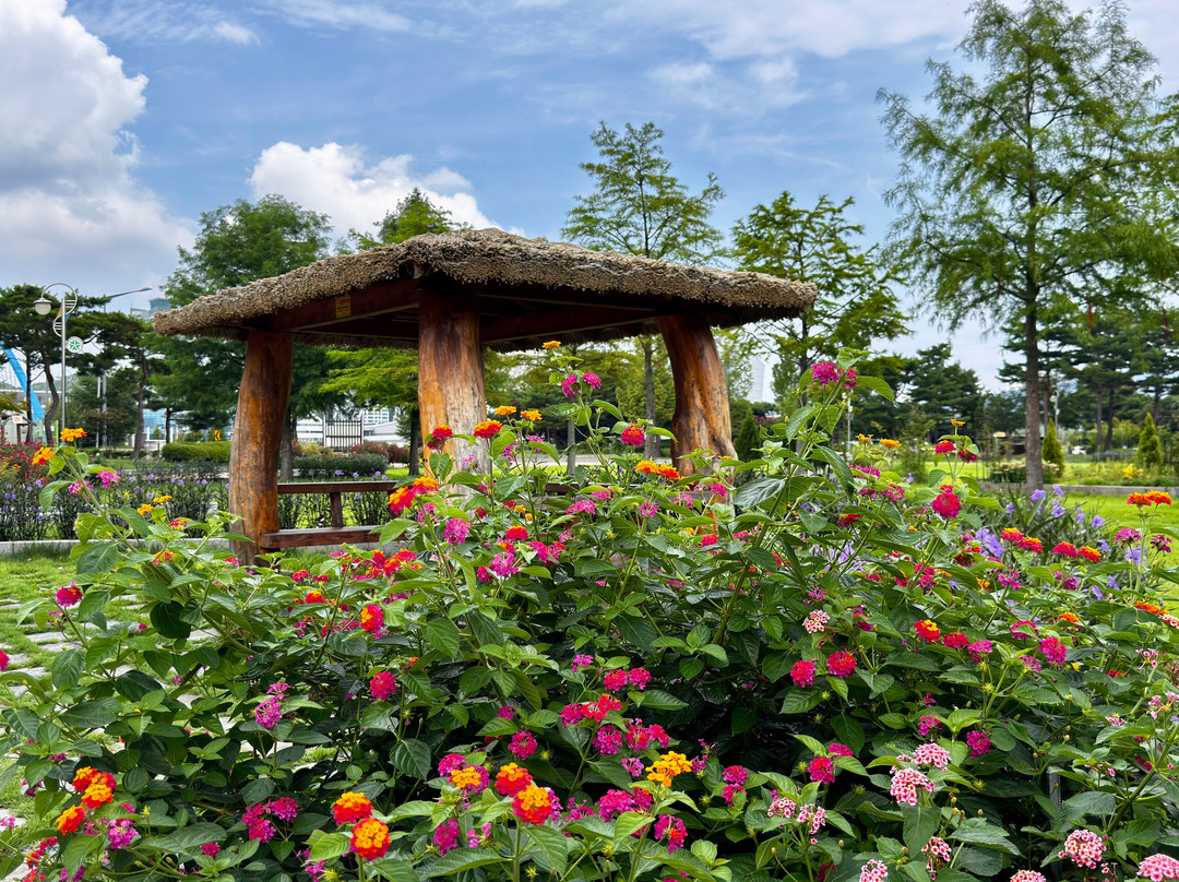 Hanbat Arboretum-大田必去景点