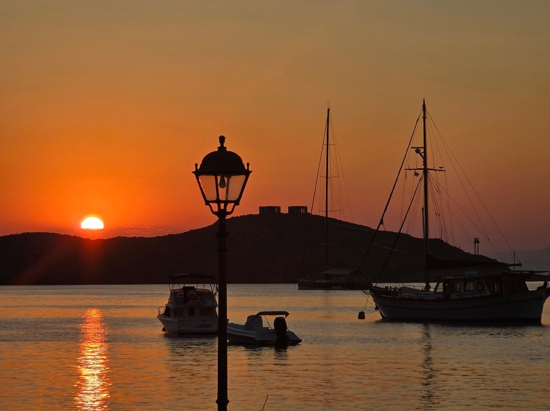 Cousteau All-bay Stories