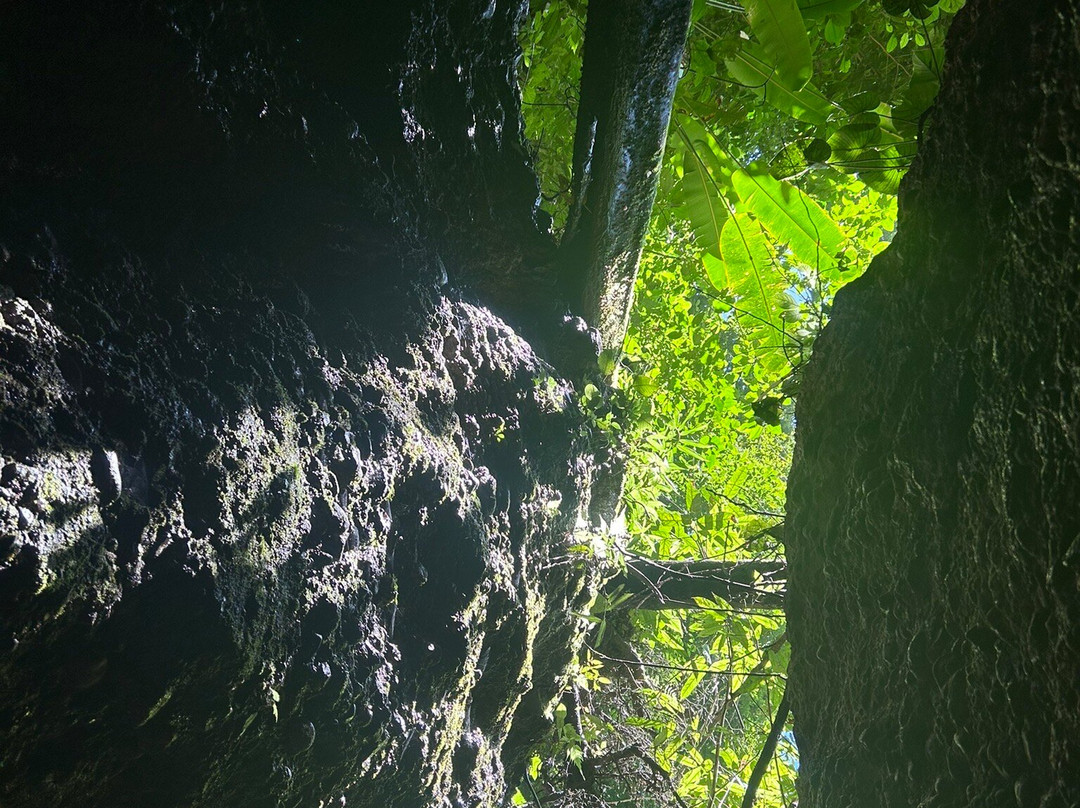 Osa Dreamcatcher Tours-希门尼斯港必去景点