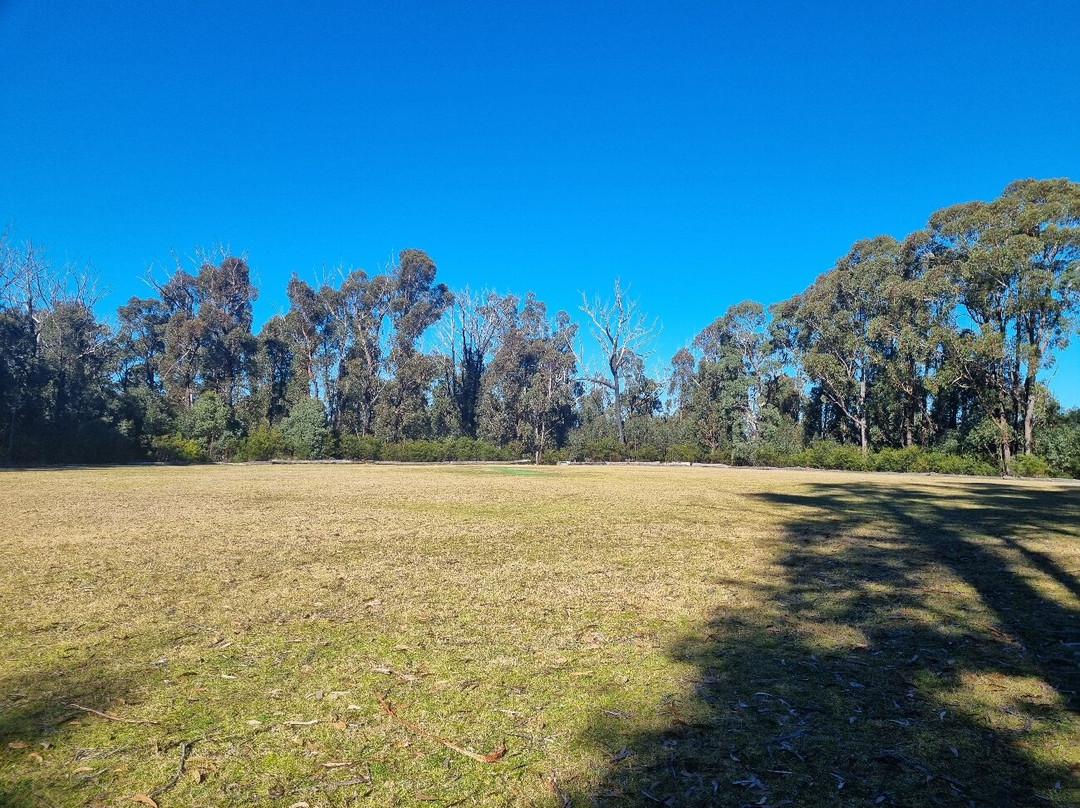The Corner Stores and Museum Walhalla.-Walhalla必去景点