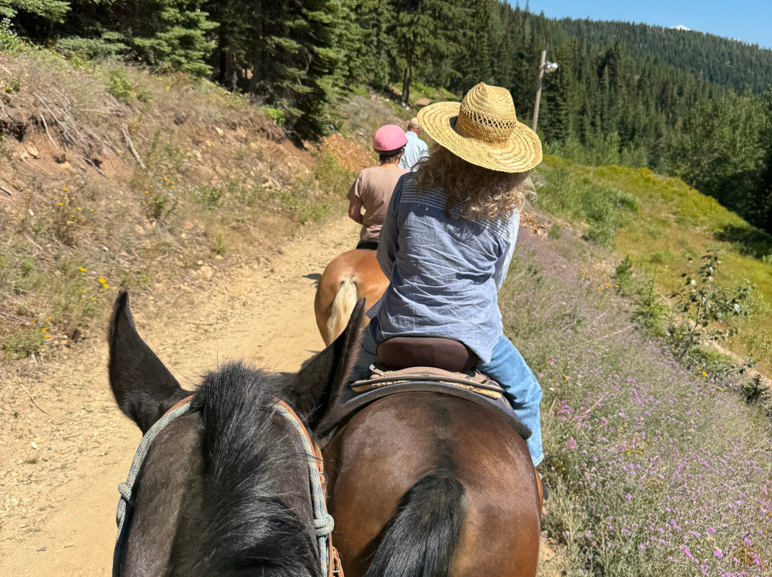 Mountain Horse Adventures-桑德波因特必去景点