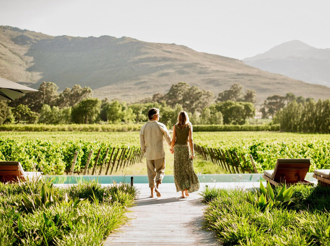 MAISON Estate Franschhoek-法兰舒克必去景点