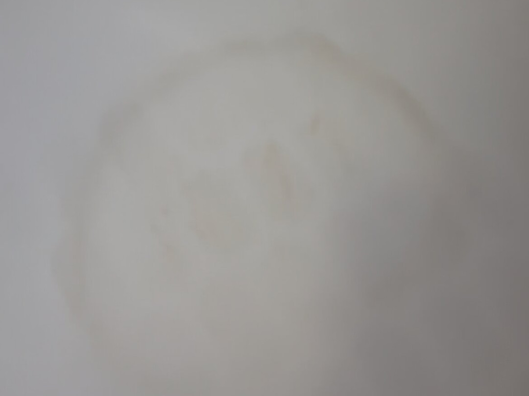 Silverland Inn主图