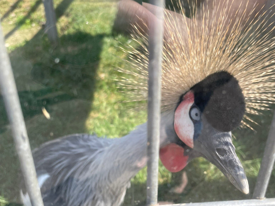 Animal Adventure Park-Harpursville必去景点