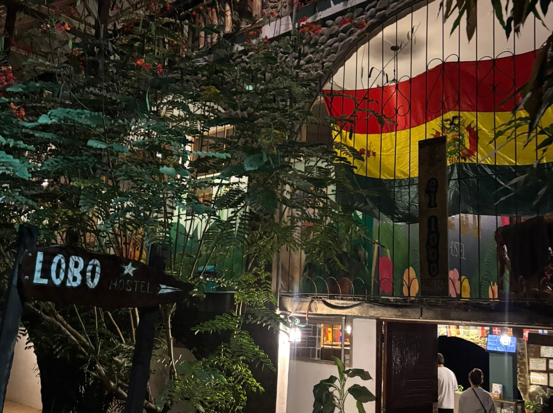 Hostal El Lobo主图