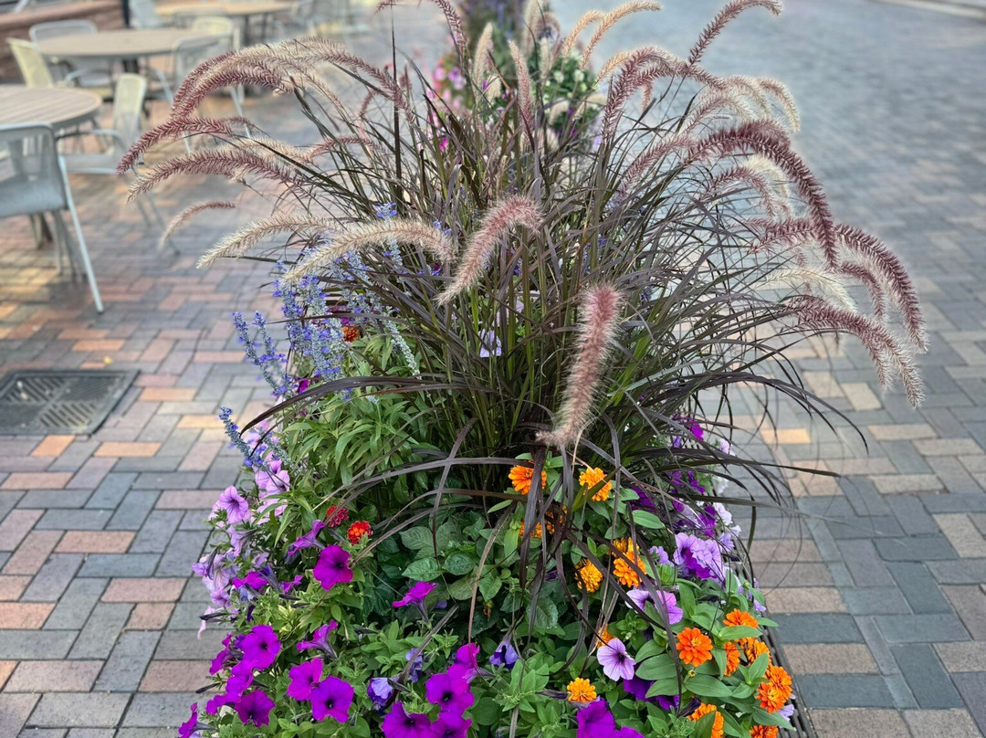 彻丽溪购物中心-丹佛必去景点