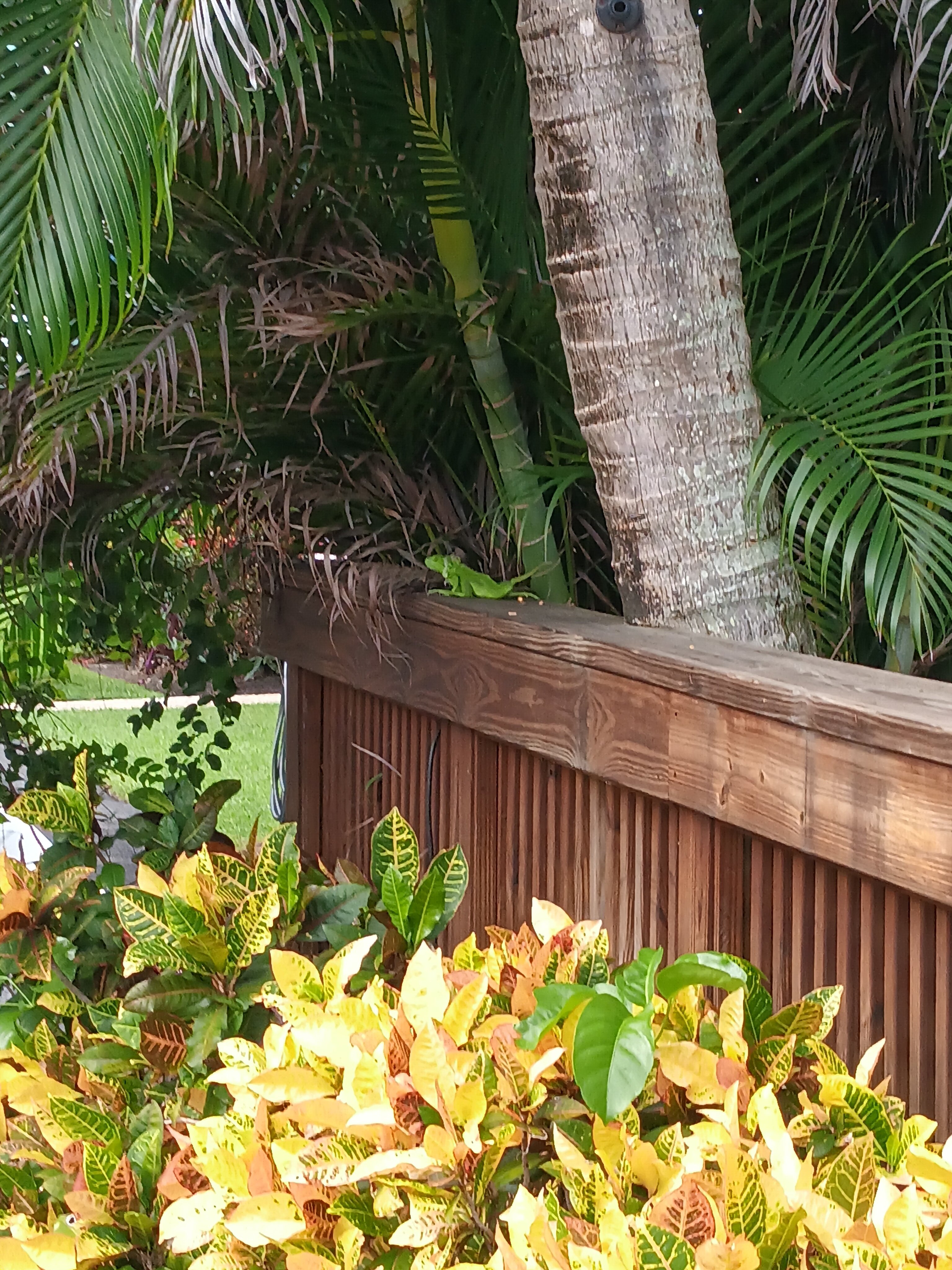 Sun Dek Beach House-官方