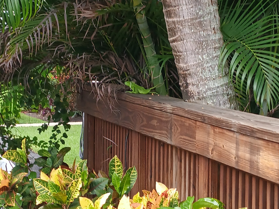 Sun Dek Beach House主图