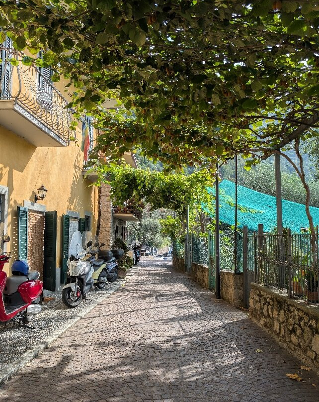 Passeggiata a Monte Isola-蒙泰伊索拉必去景点