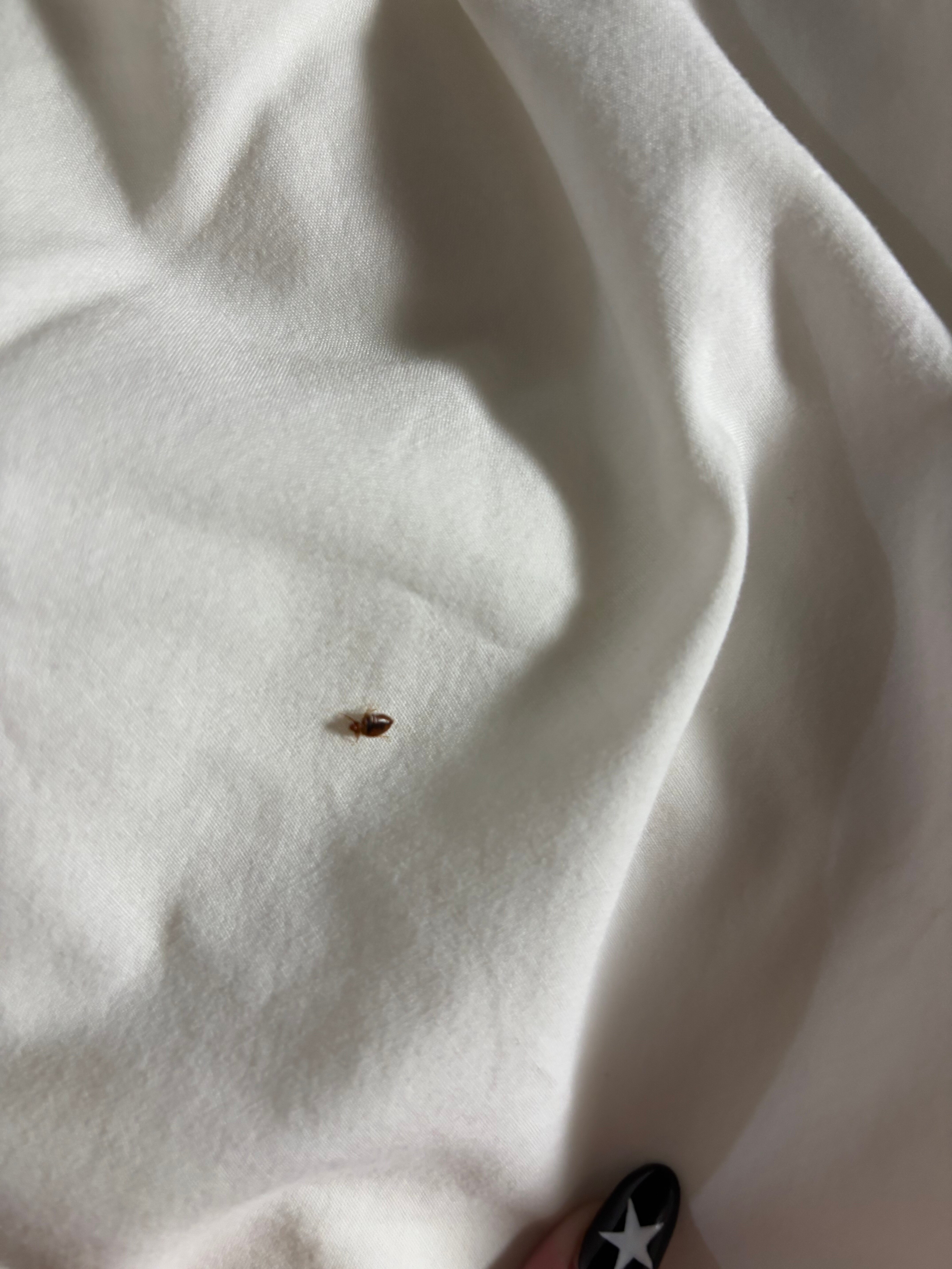 奇卡沙速8酒店-客卧