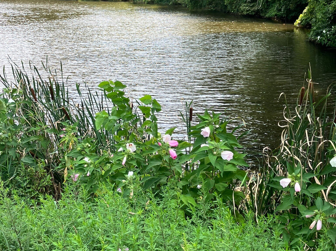 Holmdel Park-Holmdel必去景点