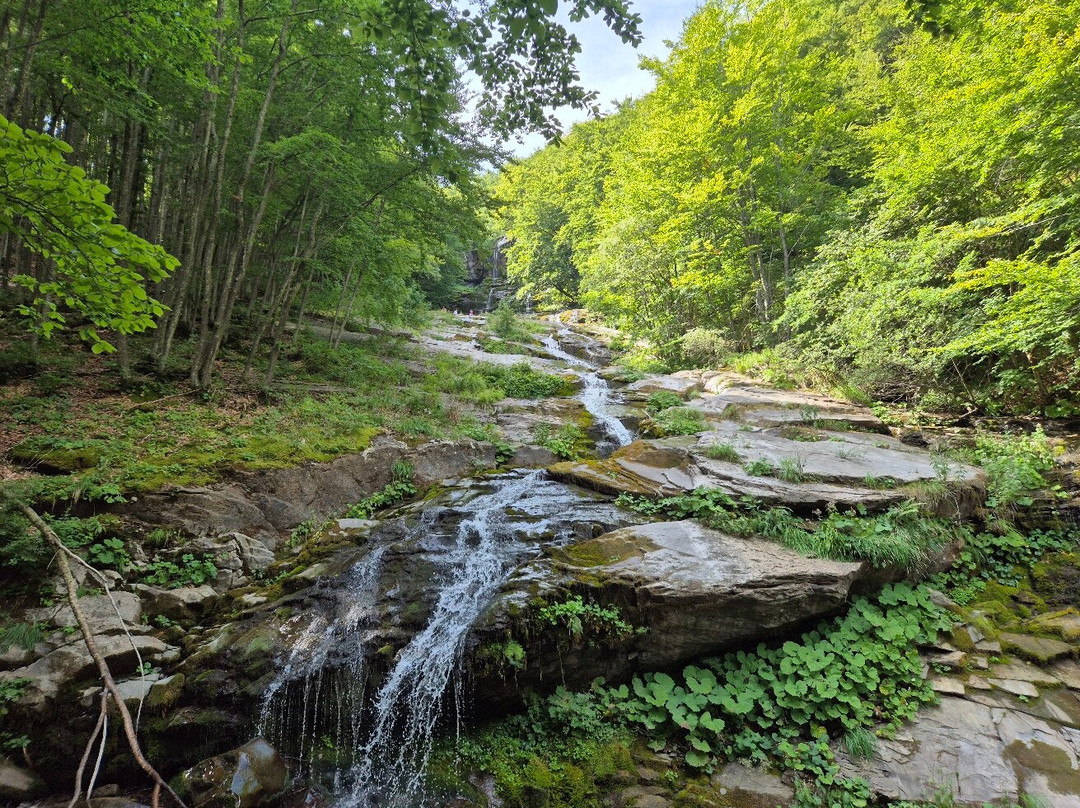 Cascate del Doccione-Fellicarolo必去景点