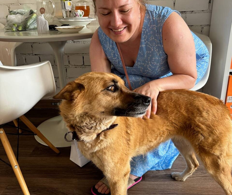 Olgi Kuznetsovoi Gallery-佩列斯拉夫尔-扎列斯基必去景点