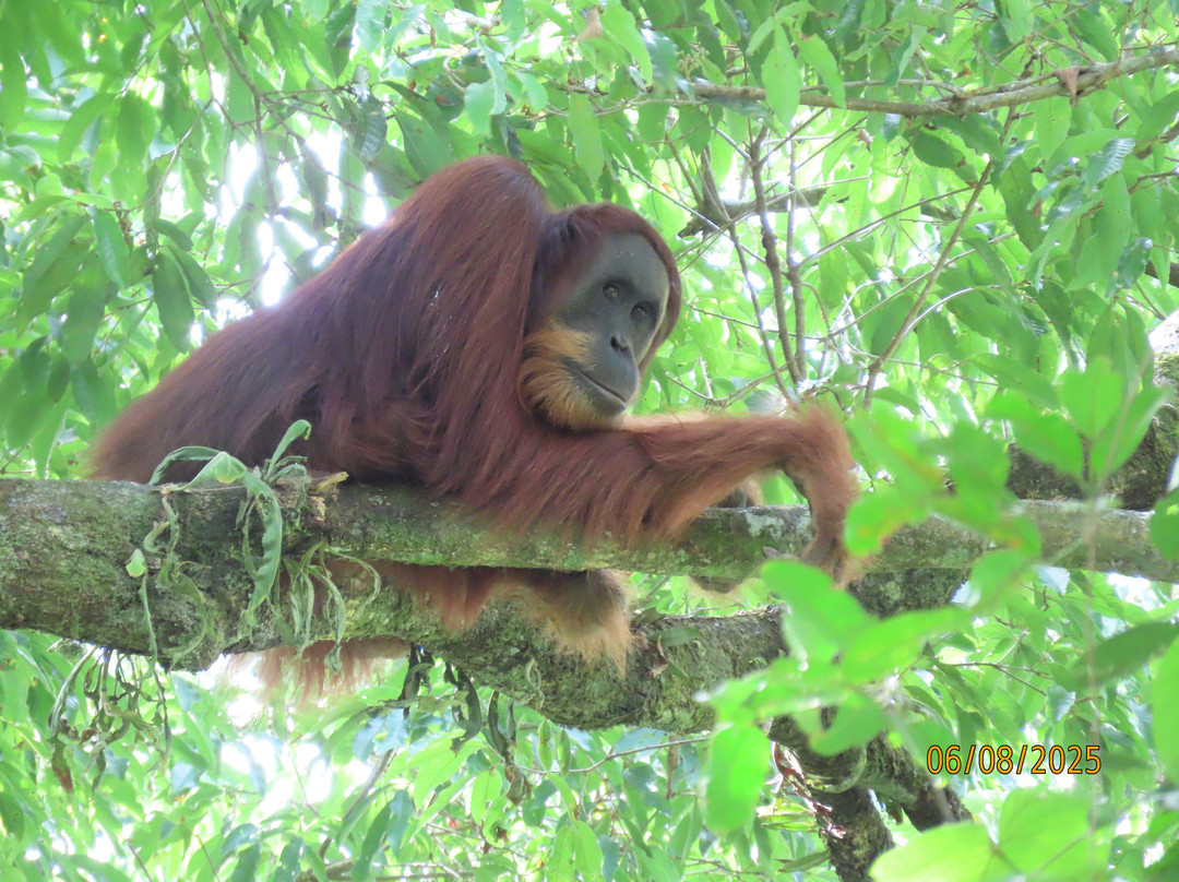 Wisma Cinta Alam主图