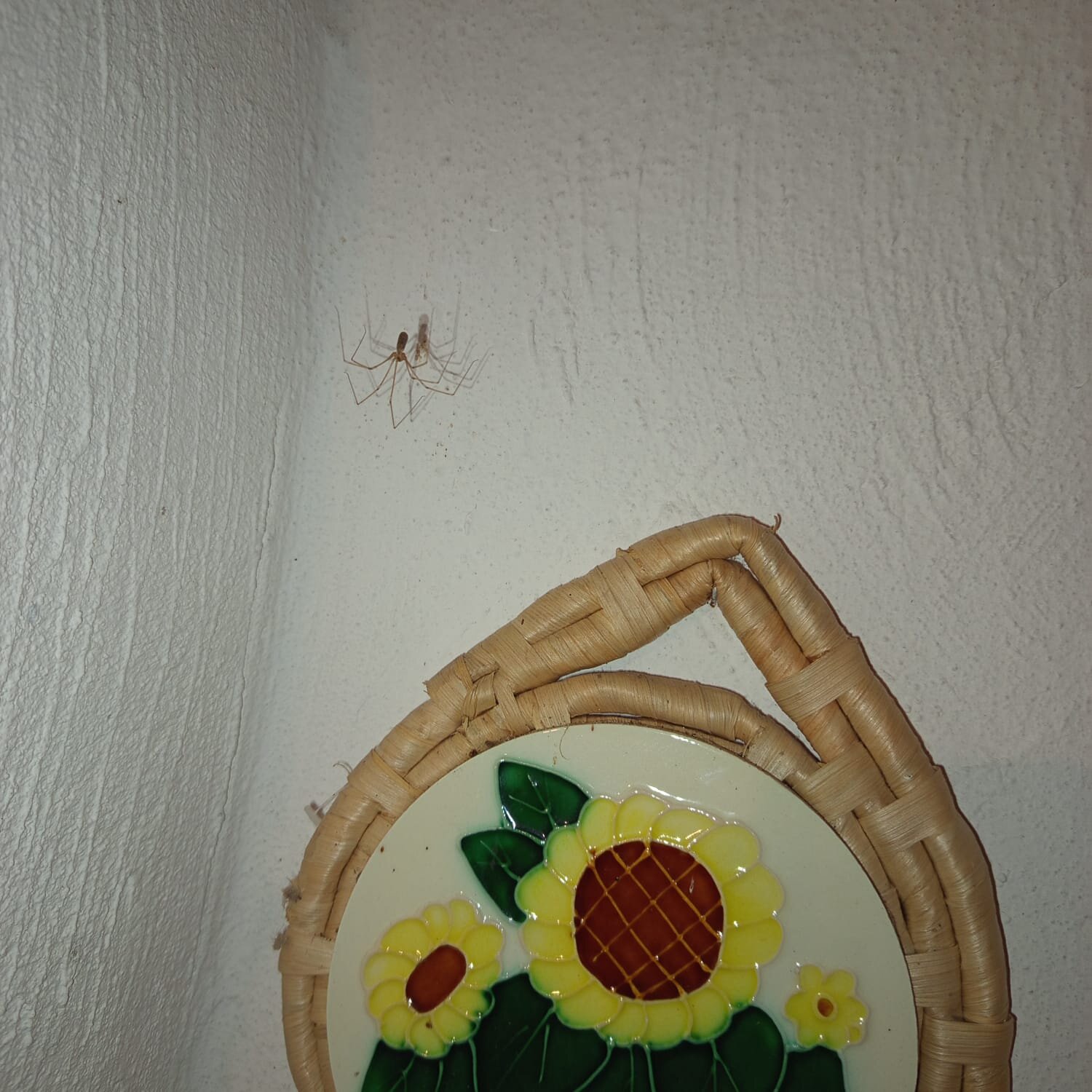 Il Ciavattone Bed and Bike-官方