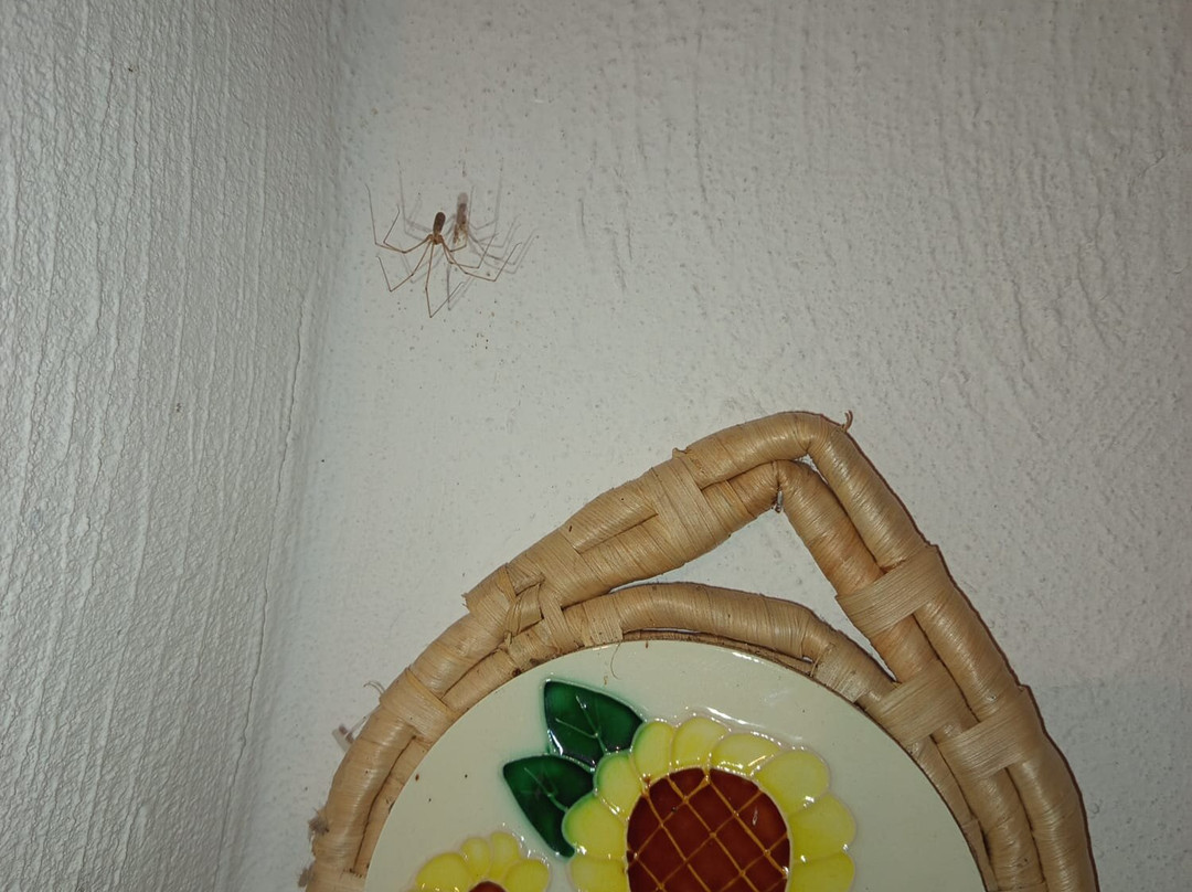 Il Ciavattone Bed and Bike主图