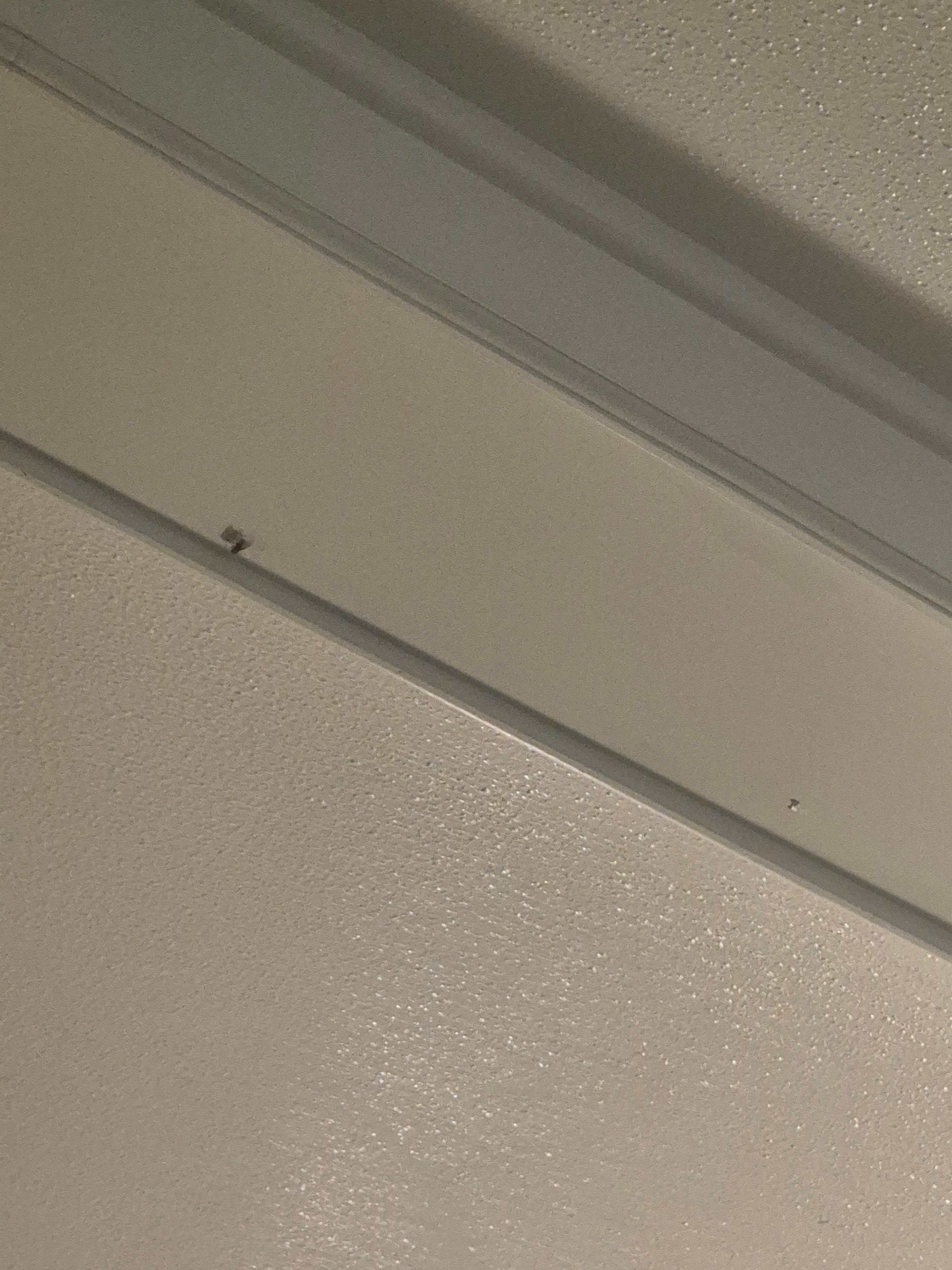 Little A'Le'Inn-官方