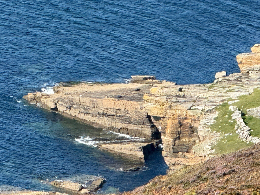 Hillhead House, F94 F6N1