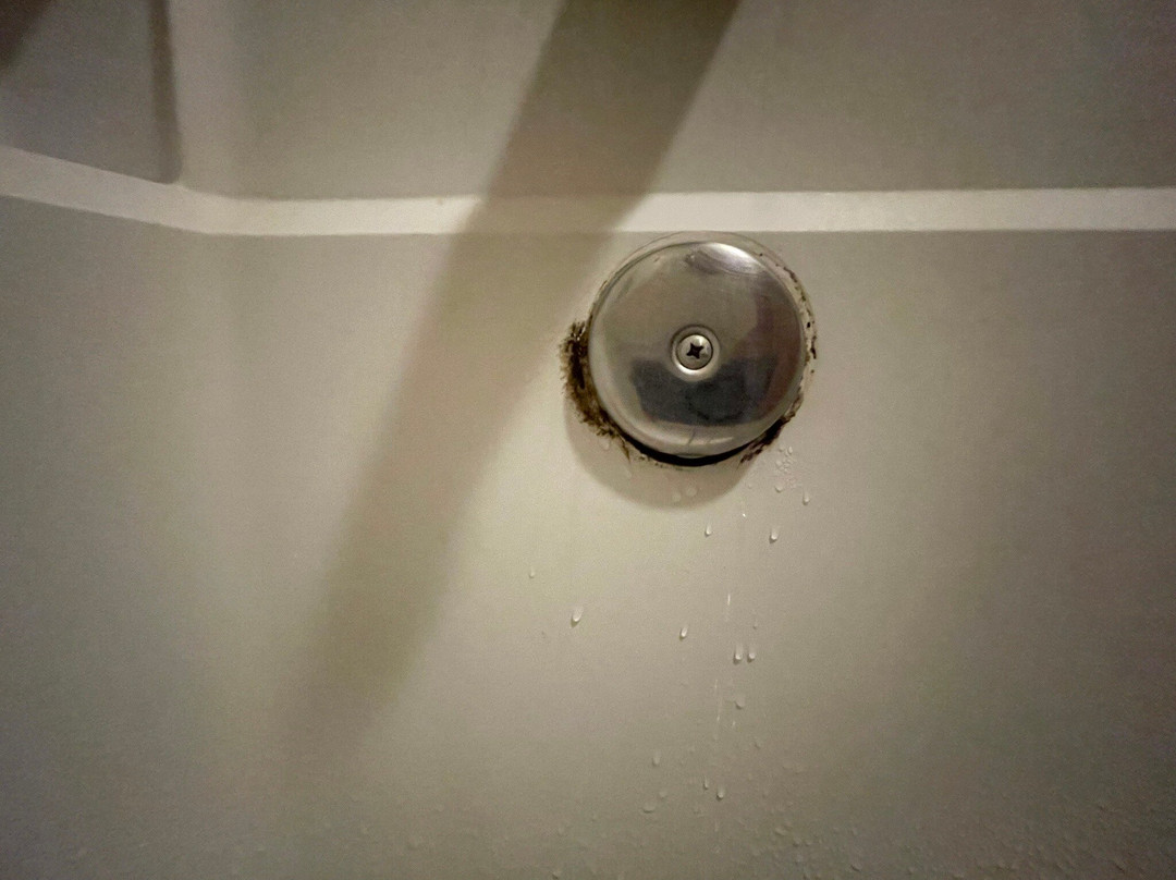 贝斯特韦斯特约书亚树国家公园花园酒店主图