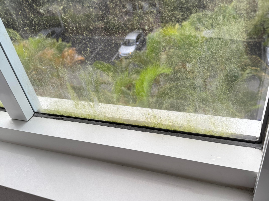 Hampton Inn Ft. Lauderdale/Plantation主图