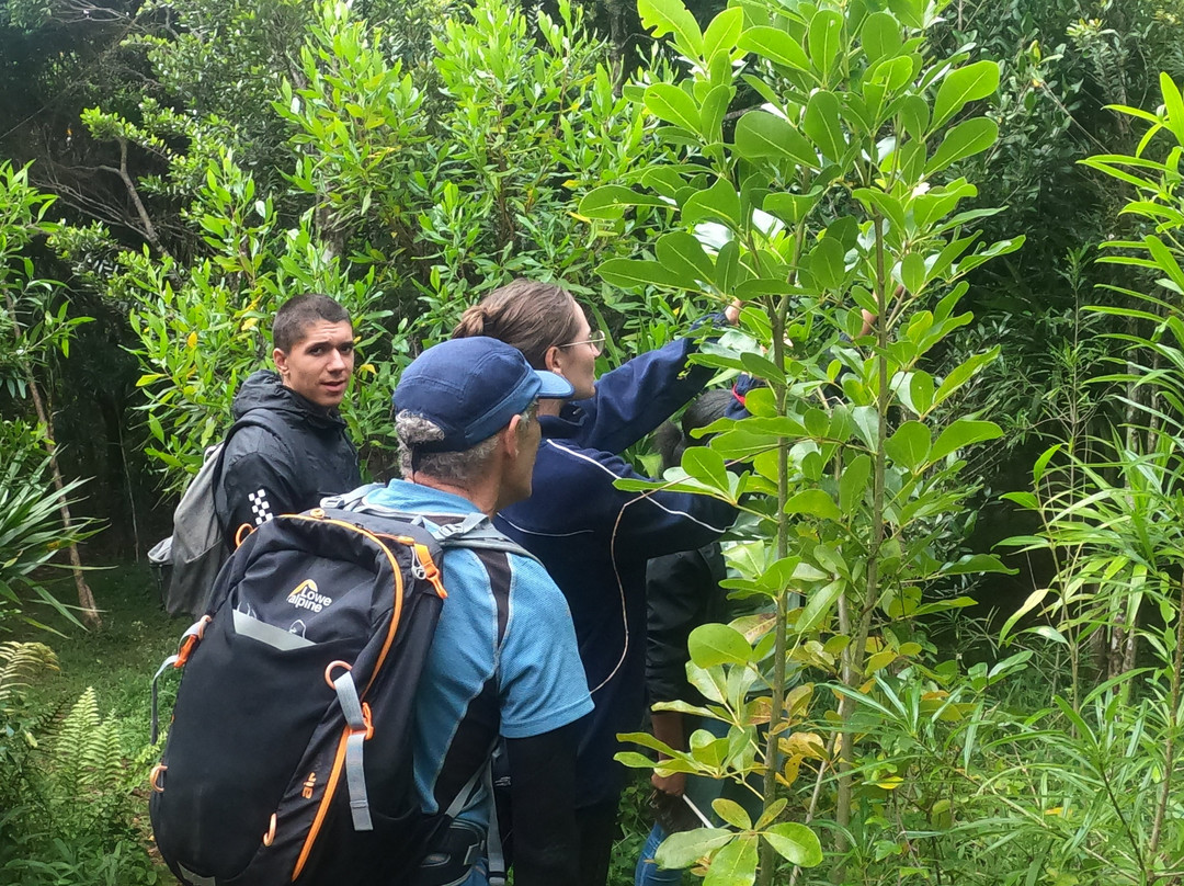 Grande Montagne Nature Reserve-罗德里格斯岛必去景点