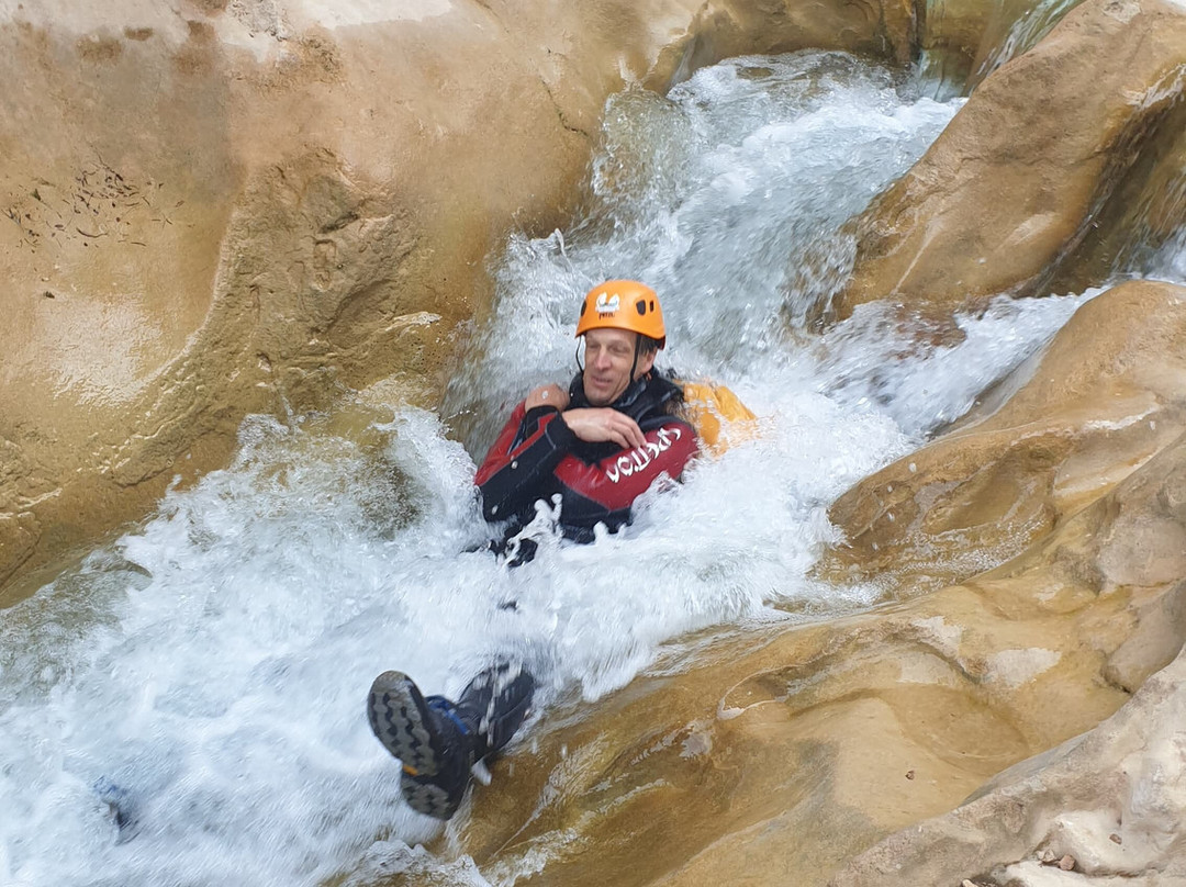 La fleur vagabonde-Bierge必去景点