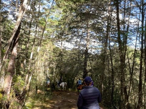 Serenya Reserva Ecuestre-恩维加多必去景点