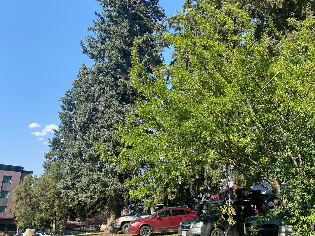 Lindley Park-博兹曼必去景点