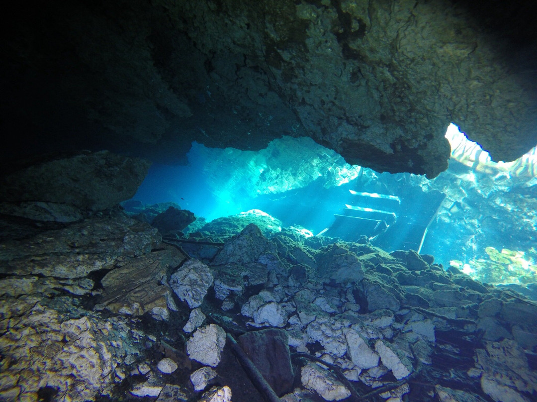 Happy Manta Cenote Diving-普拉亚德尔卡曼必去景点