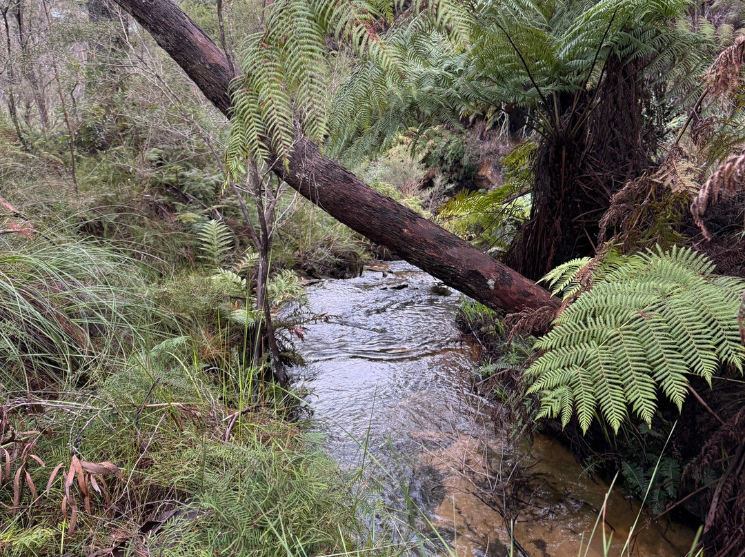 Sinofield Edu-Retreat主图