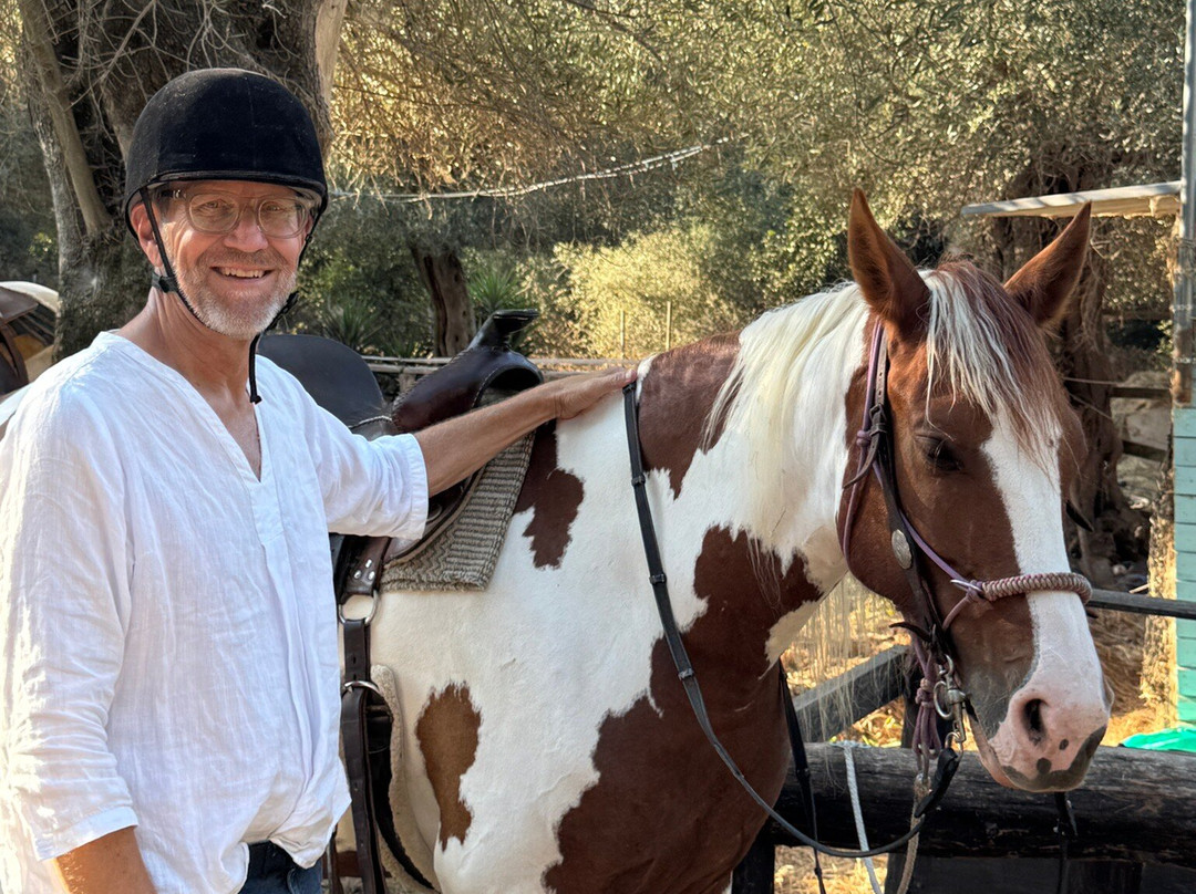 North Corfu Horses-Peritheia必去景点