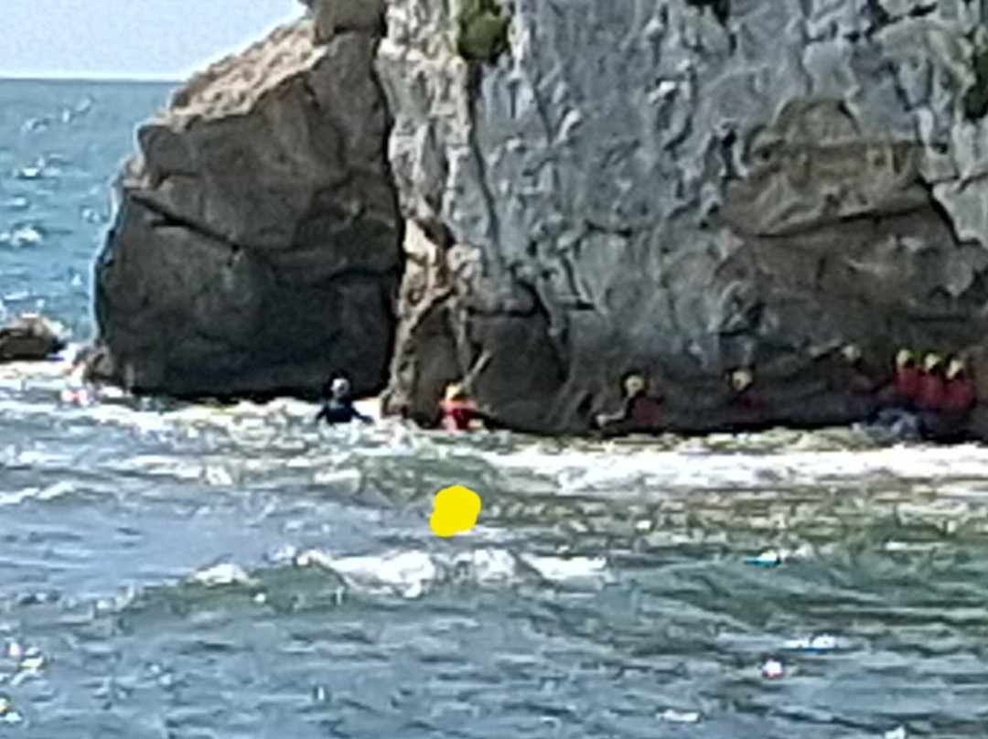 Freshwater Bay Coasteering-弗雷什沃特必去景点