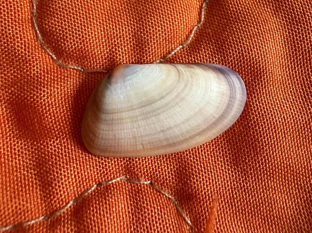 亨廷顿海滩码头-亨廷顿海滩必去景点