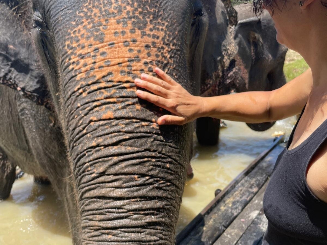 Thai Town of Elephant  Krabi-Nong Thale必去景点