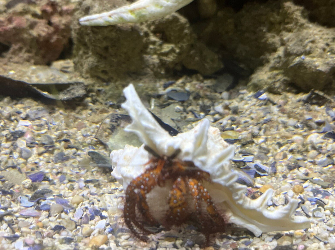 Matlock Bath Aquarium & Exhibitions-Matlock Bath必去景点
