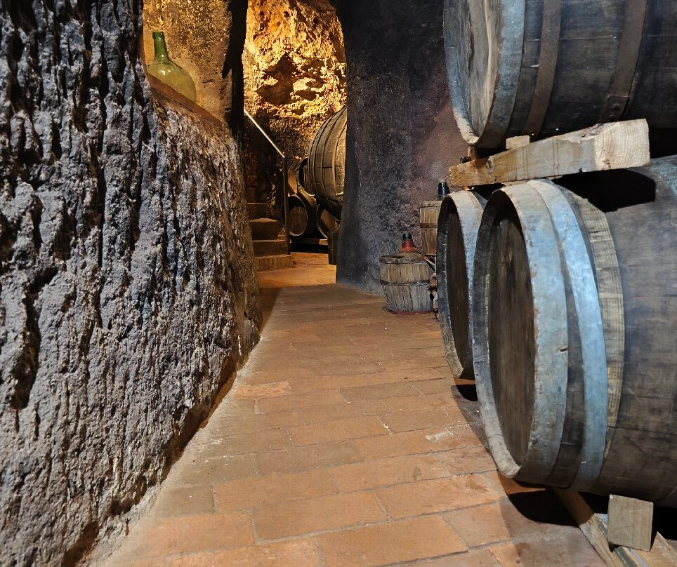 Bodegas A. Velasco e Hijos-萨莫拉必去景点