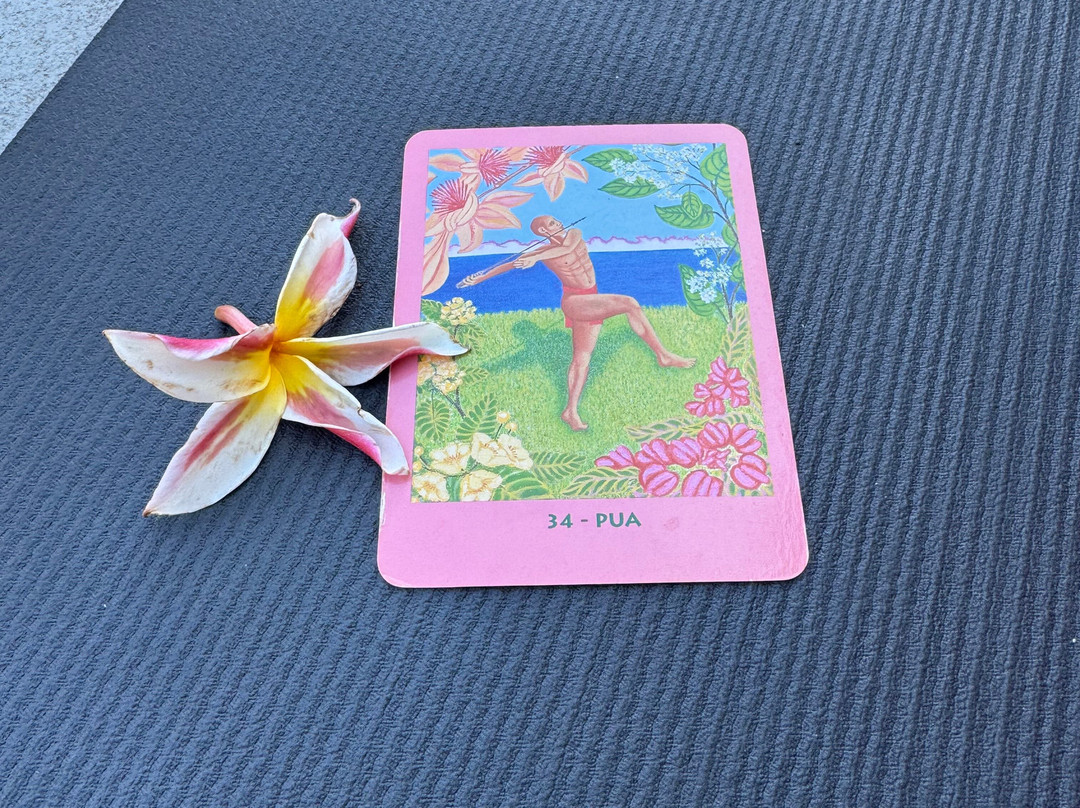 Moaina Retreat Hawaii-Pupukea必去景点