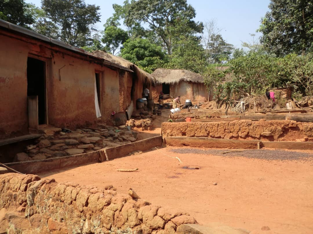 Fermes Et Village De Kpalimé Dzokoto-Kpalime必去景点