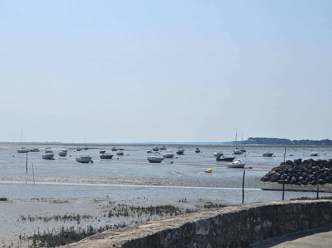 Beach Bikes - Location De Vélo À Arès