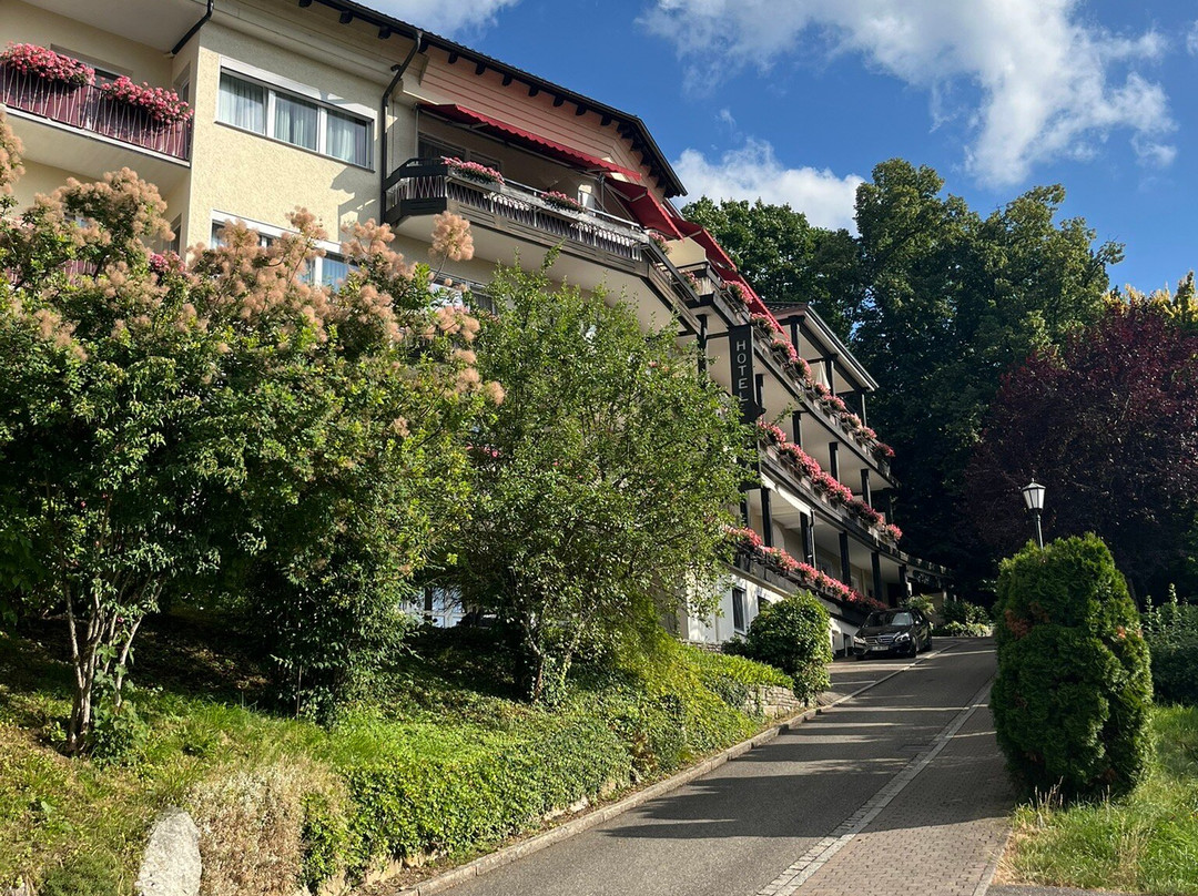 Hotel Anna Badenweiler主图