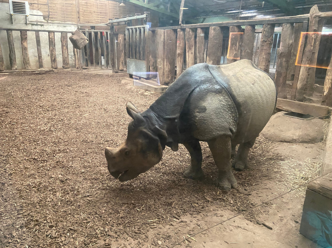 Zoo Cerza-Hermival-les-Vaux必去景点