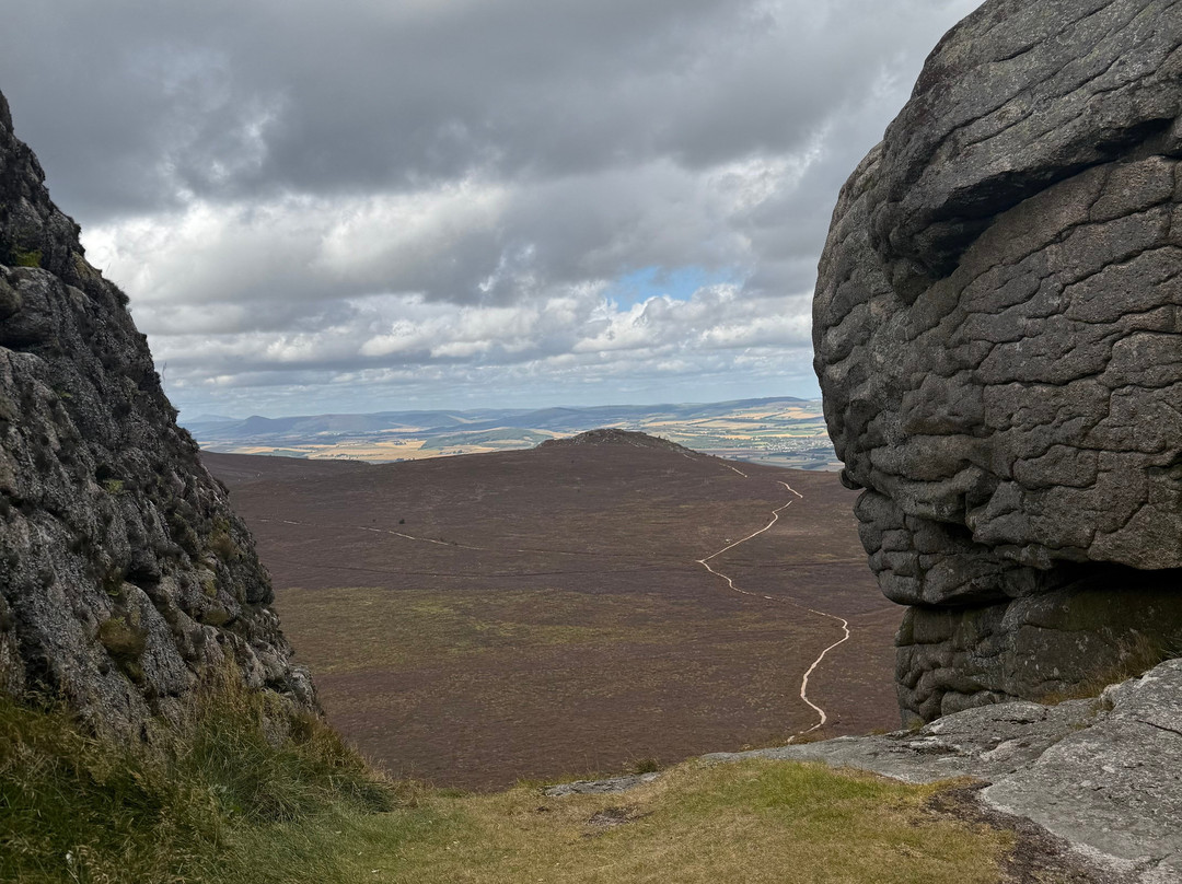 Bennachie Hill Walks-阿伯丁必去景点
