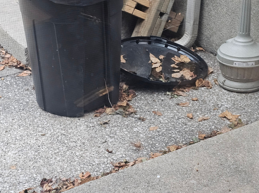 Lake Bluff Inn and Suites主图