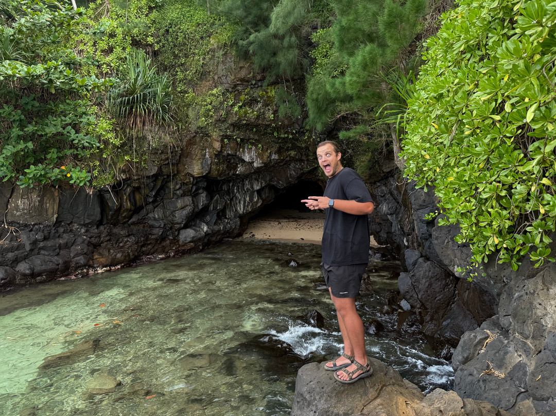 Turtle Cove-普林斯维尔必去景点